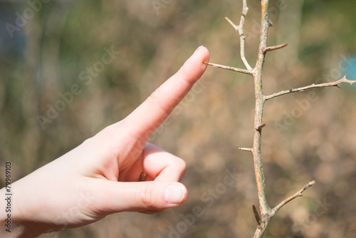 木の棘と女性の手