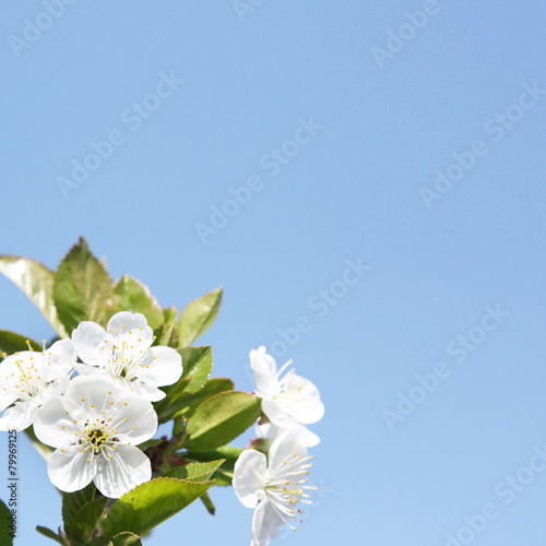 Der Frühling ist da