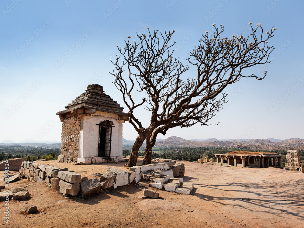 Hampi Stock Photo Adobe Stock