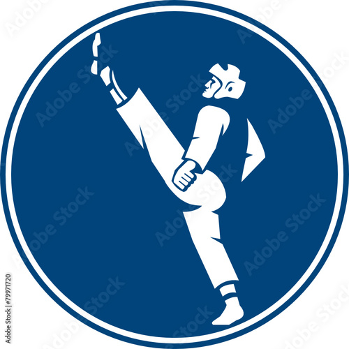 Taekwondo Fighter Kicking Stance Circle Icon