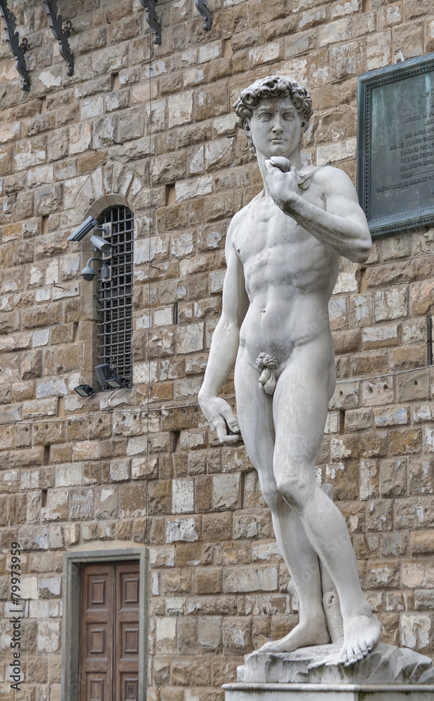 Naklejka premium Statue of David by Michelangelo in Florence, Italy