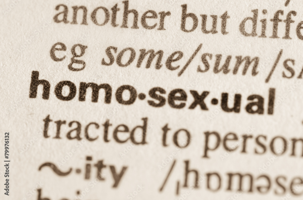 Dictionary definition of word homosexual Dictionary definition of word homosexual