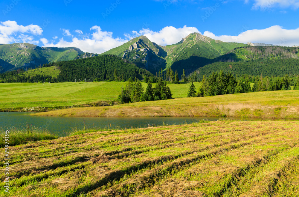 Beautiful summer mountain landscape in High Tatras, Slovakia