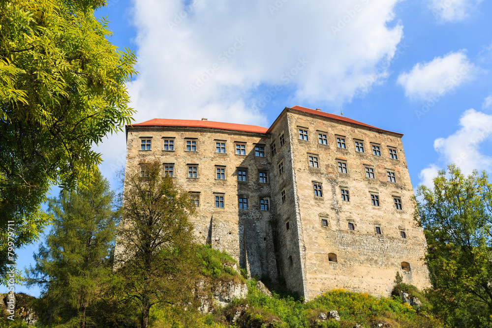 Beautiful Pieskowa Skala castle in Ojcow National Park, Poland