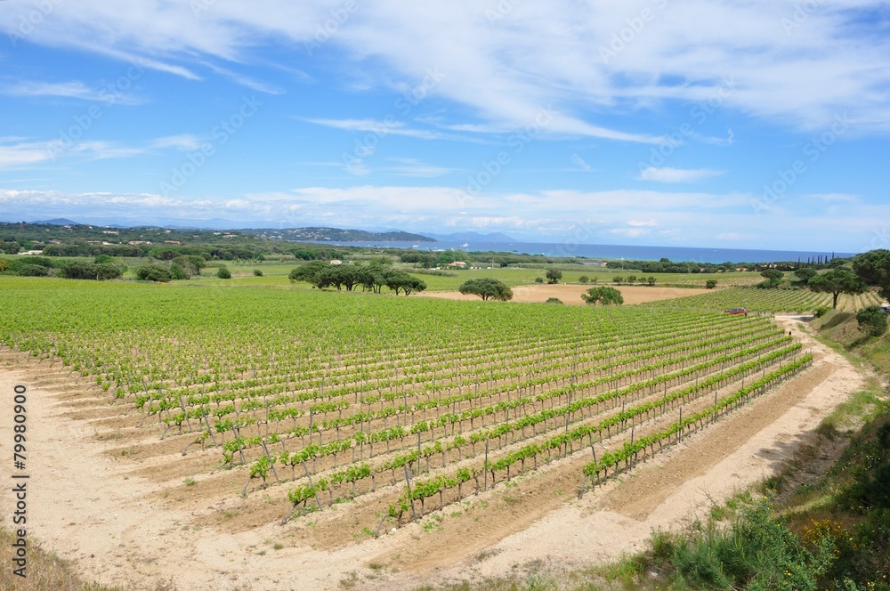 panorama du var 