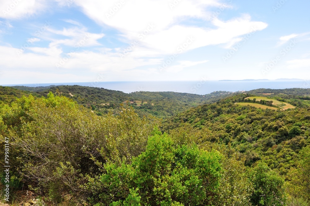 Obraz premium panorama du var 