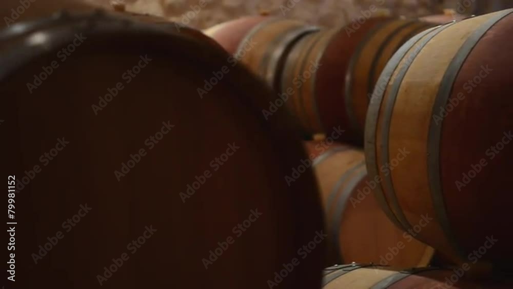 Winemaking-Wine Barrels in cellar Winemaking-Wine Barrels in cellar