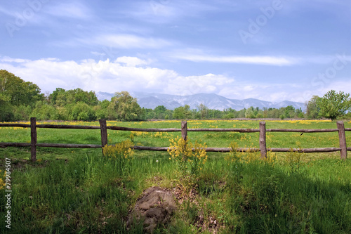 Paesaggio Primaverile