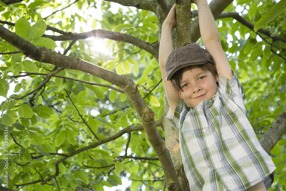 Portrait of little boy climbing in a tree Portrait of little boy climbing in a tree