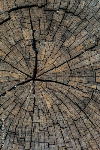 Old wood background