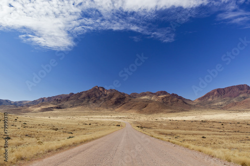Africa, Namibia, Namib Desert, View of gravel road through Namib Rand photo