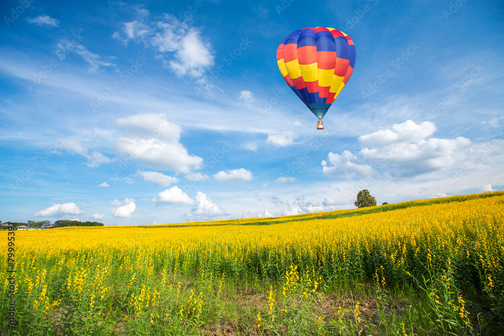 Naklejka premium Hot air balloon over yellow flower fields against blue sky