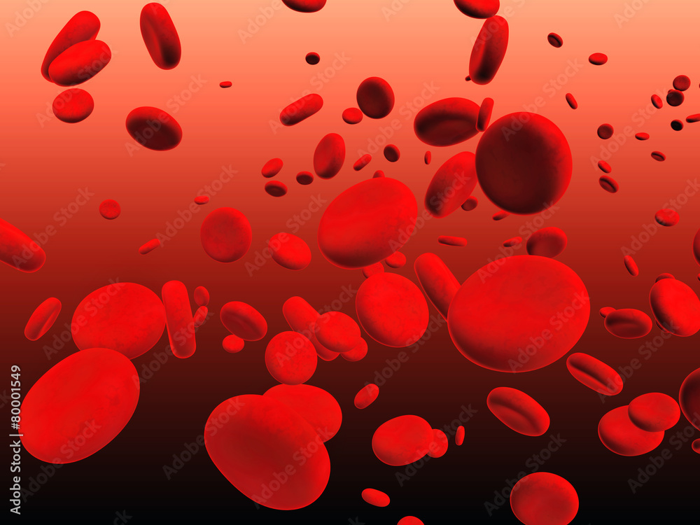 Erythrocytes Erythrocytes