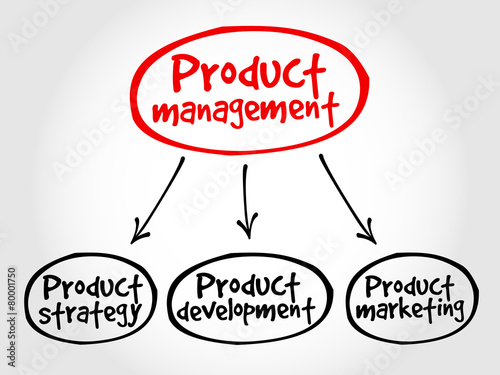 Product management mind map, business concept