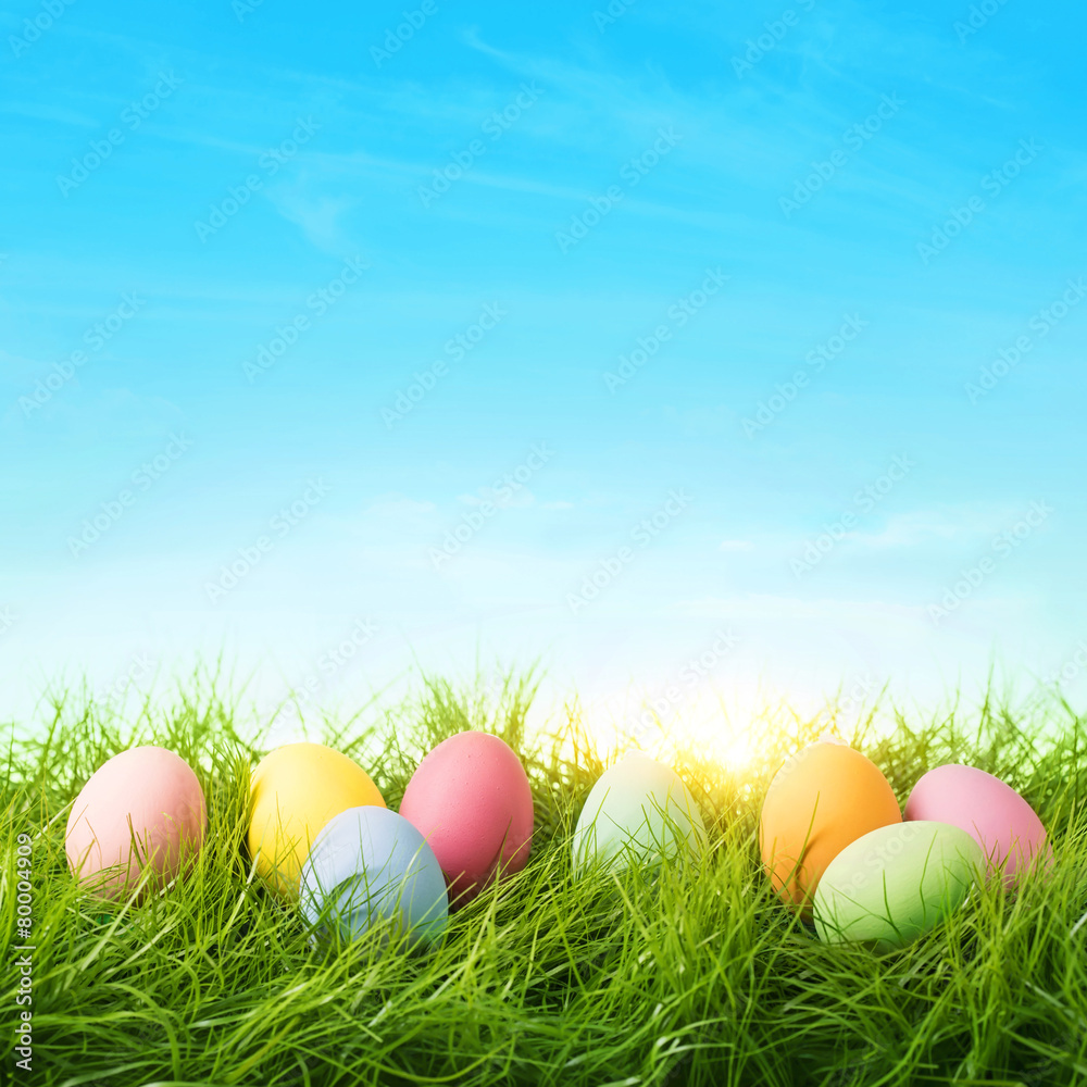 Obraz premium Colorful easter eggs