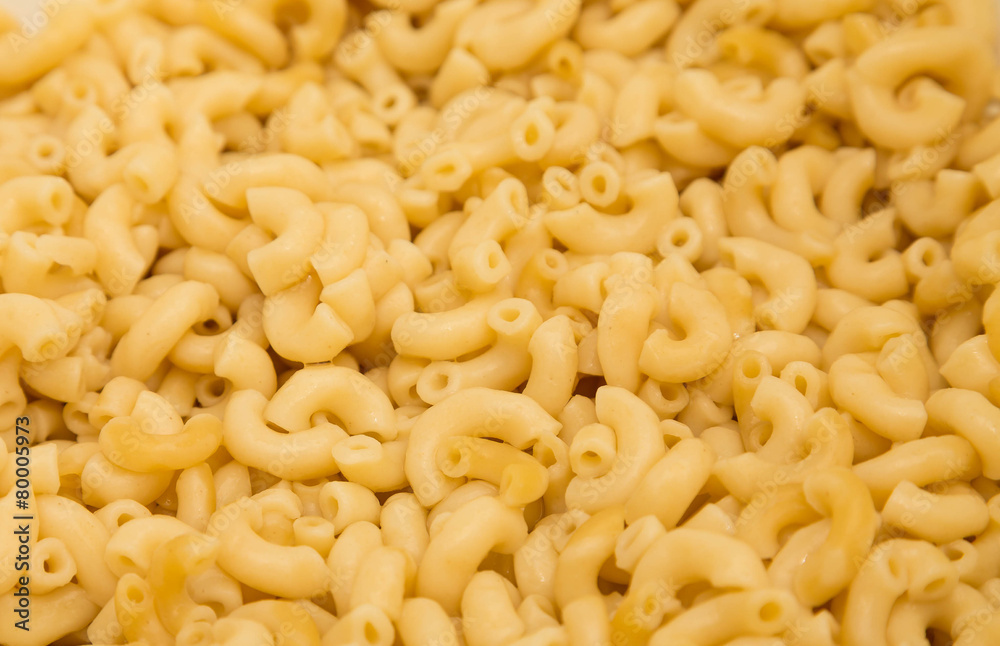 Cooked Macaroni Noodles Cooked Macaroni Noodles