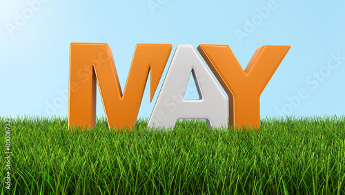 May on grass  (clipping path included)