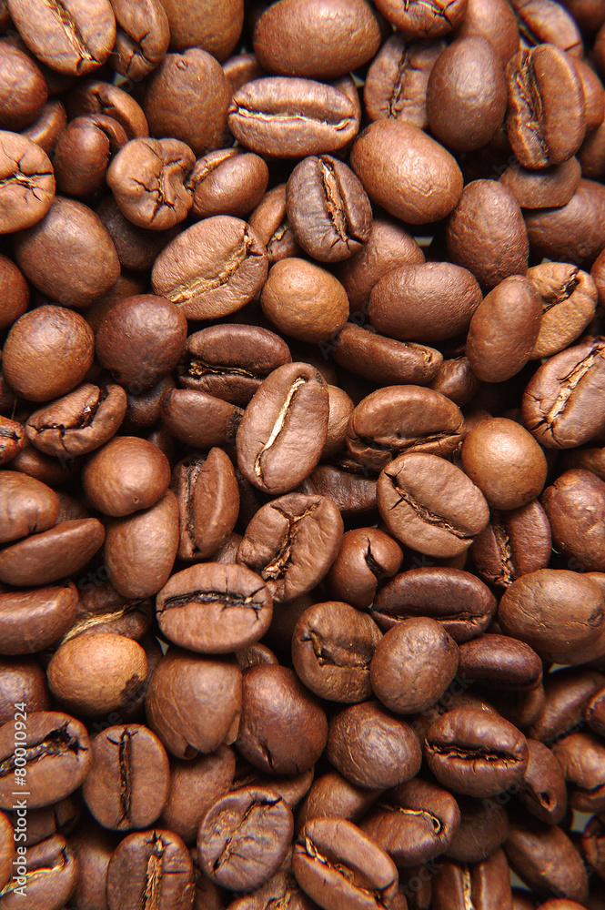 Naklejka premium coffee beans