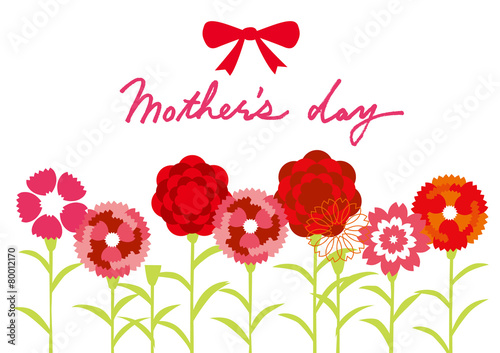 hahanohi_carnation_siro