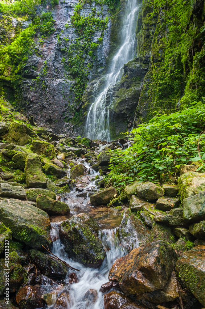 Naklejka premium Burgbachwasserfall, Bad Rippoldsau-Schapbach