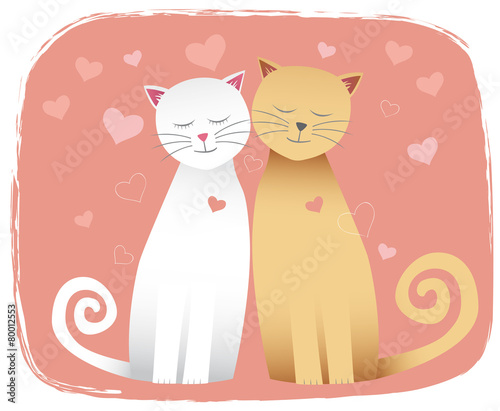 Cats in love