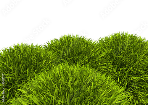 Gras, Rasen, Wiese, Ostergras, Grashügel, Hügel, Hintergrund, 3D