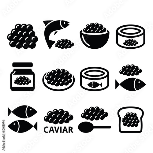 Caviar, roe, fish eggs icons set photo