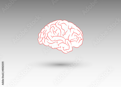 cervello, mente, testa, pensieri