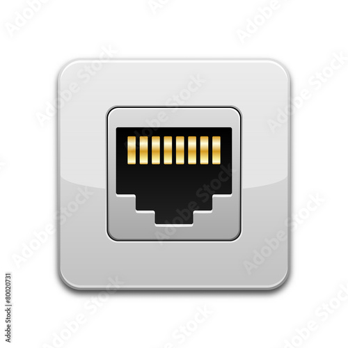 Vector network socket icon
