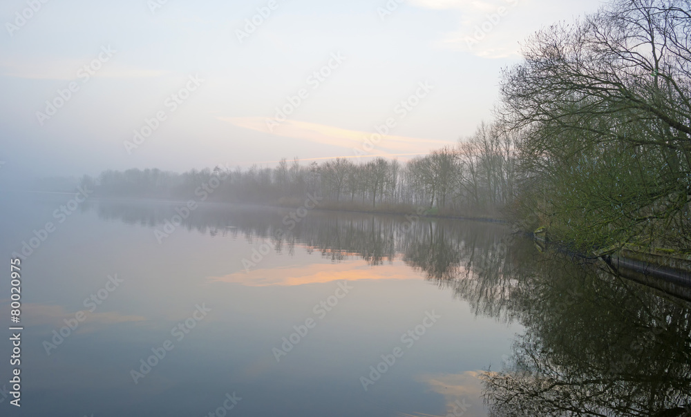The shore of a foggy lake in winter at dawn