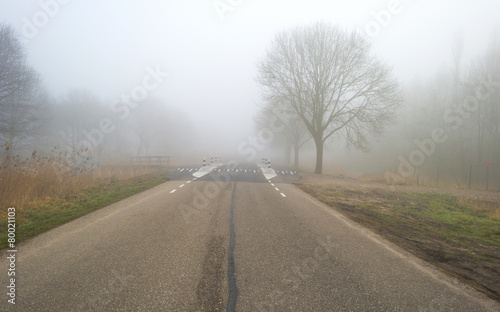 Road through a foggy landscape in winter