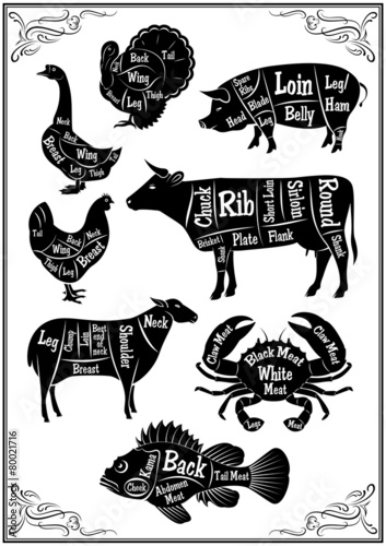 set of diagrams of sections of different animals and seafood