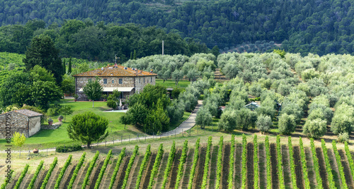 Chianti  Tuscany