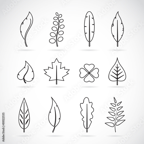Vector leaves icon set on white background