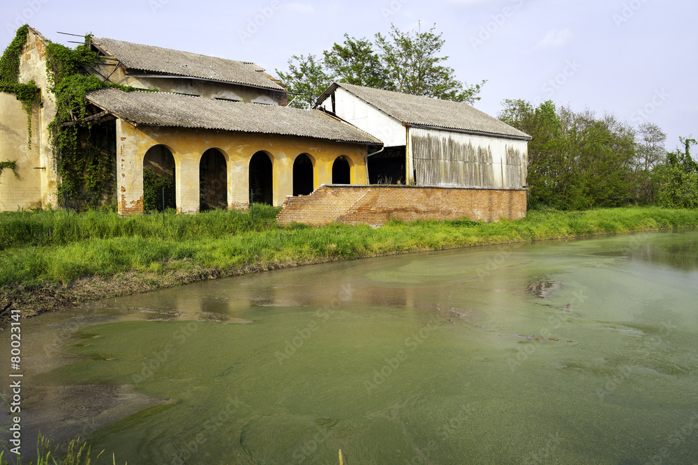 Abandoned farm. Color image