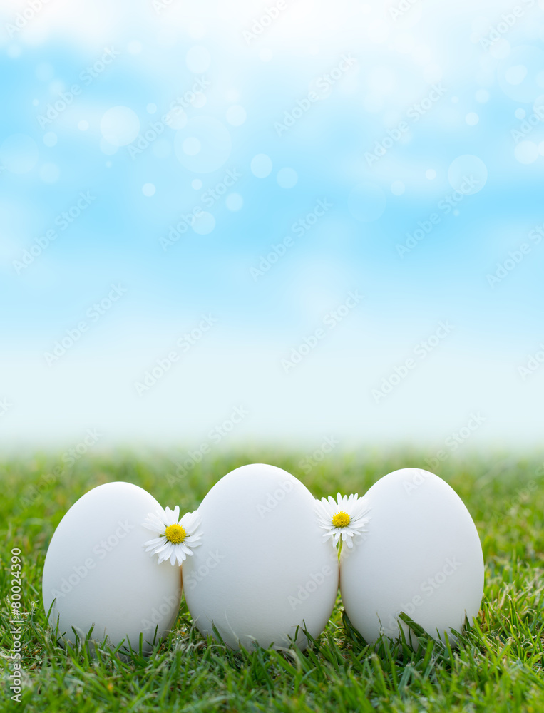 white eggs laying in green grass with daisy white eggs laying in green grass with daisy