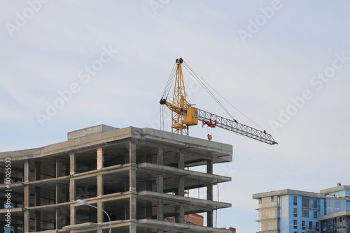 Frame and monolithic house and tower crane