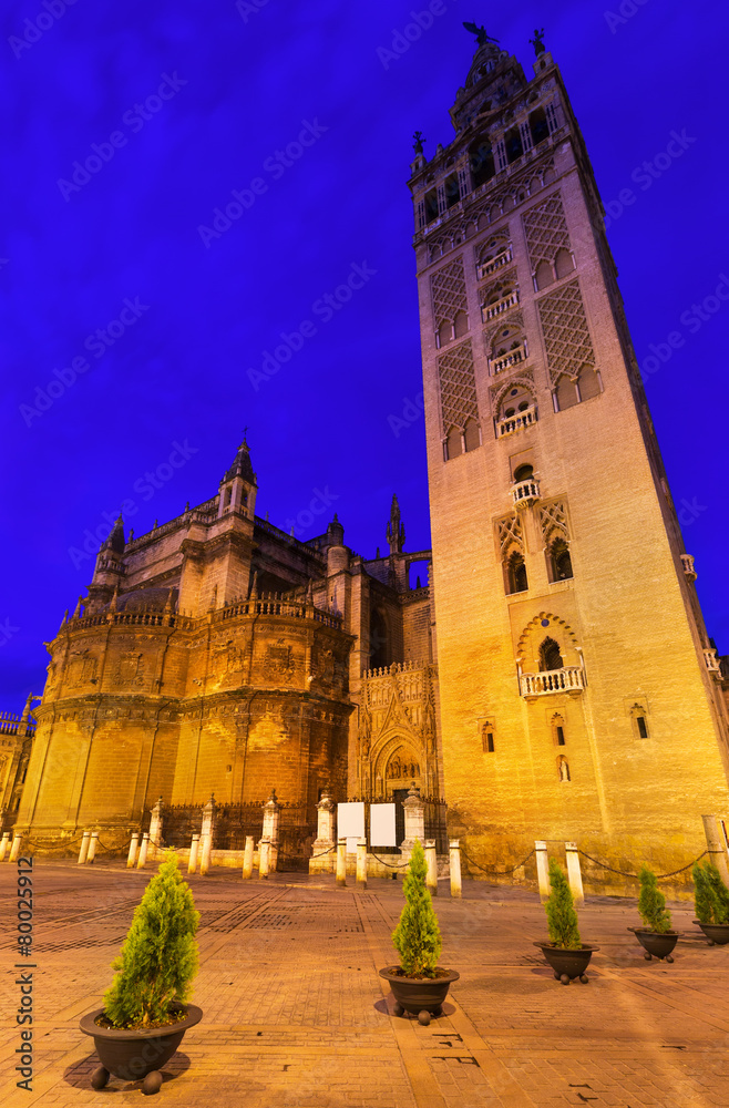 Evening view of  Seville Cathedral with Giralda tower