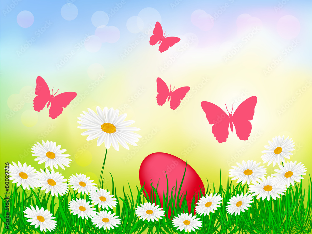 Summer sunny background with  flowers and butterflies