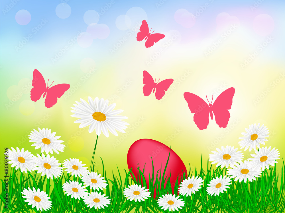 Summer sunny background with flowers and butterflies Summer sunny background with flowers and butterflies