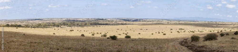 180 degreee panorama of the grasslands of Kenya 180 degreee panorama of the grasslands of Kenya