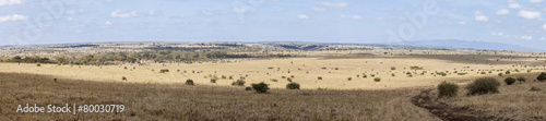 180 degreee panorama of the grasslands of Kenya