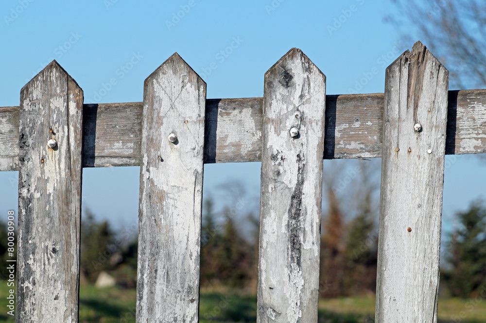 fence