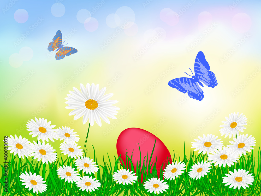 Summer sunny background with  flowers and butterflies