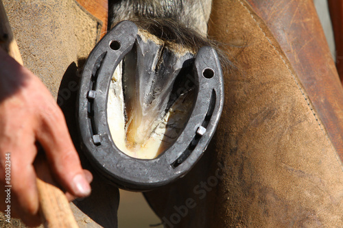 farrier with horse hoof
