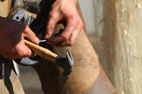 farrier working close up © Mari_art