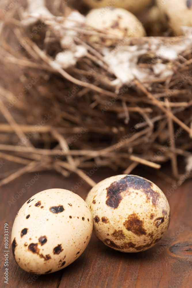 Quails Eggs Quails Eggs