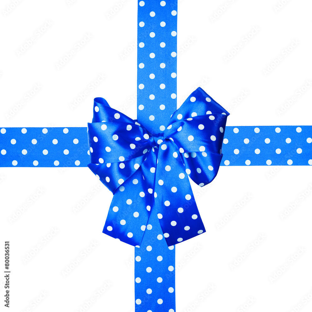 blue bow and ribbon with white polka dots made from silk blue bow and ribbon with white polka dots made from silk
