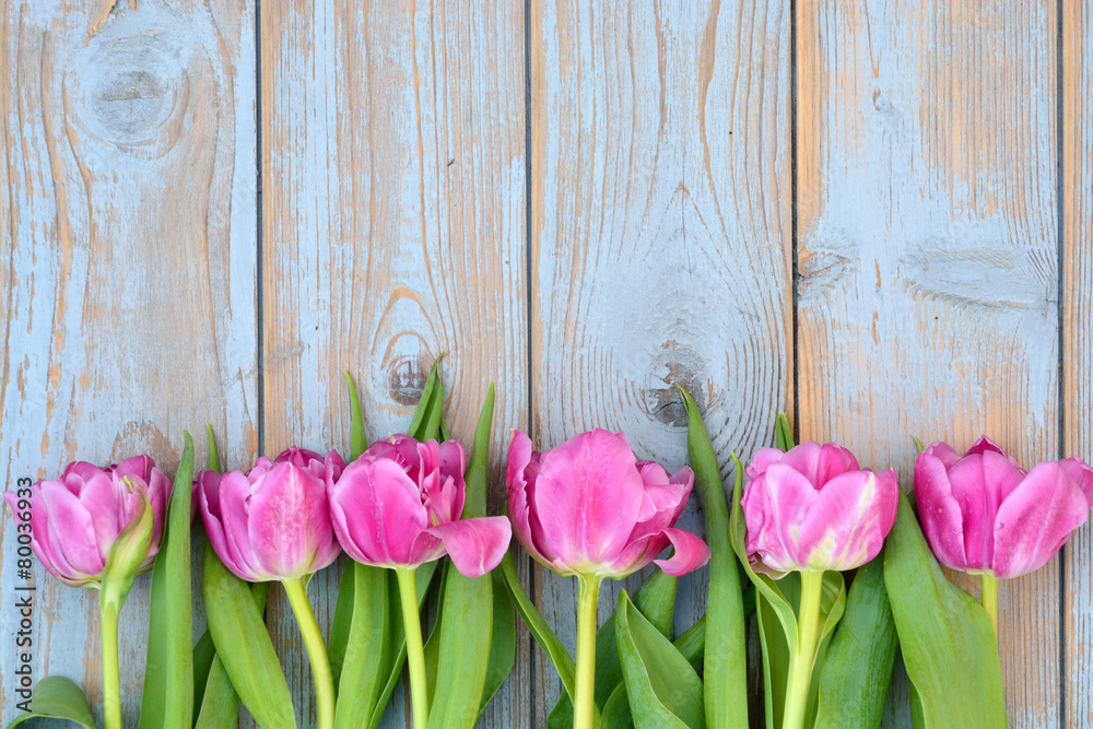 Old grey wooden background with purple white tulips,snowdrop and crocus summer spring decoration border in a line and empty copy space mock up layout Old grey wooden background with purple white tulips,snowdrop and crocus summer spring decoration border in a line and empty copy space mock up layout