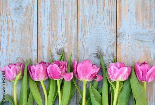 Fototapeta Naklejka Na Ścianę i Meble -  Row of pink tulips on old wood with empty space